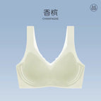 Champagne / M 【 40-50kg 】