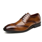 Brown / 38