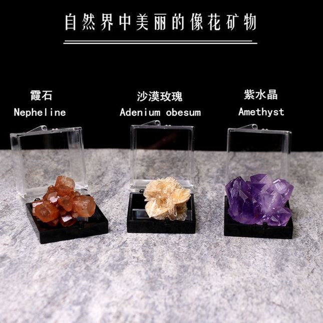 Mineral Crystal Calcite Pyrite Symbiotic Crystal Raw Stone Geological Science Teaching Specimen Collection Ornament