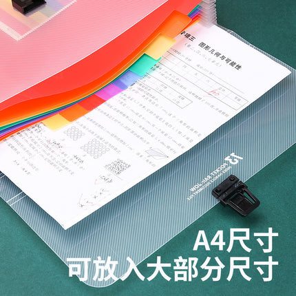 Large Capacity Organ Bag A4 Portable Organ Folder Test Paper File Storage Book Rainbow Inner Page Waterproof PP