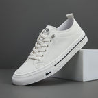 white / 38