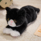 40cm(0.15 / Black and white cat