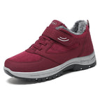 Gm-d-6 maroon red / 36