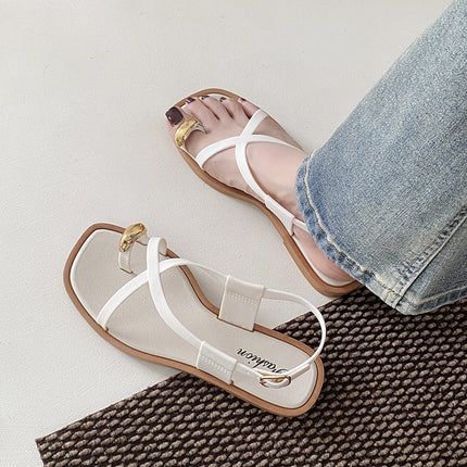 2024 New Arrival Set Toe Sandals and Slippers Women's Summer Outer Wear Cyber Celebrity Ins Flat French Style High-grade Clip-toe Women's Shoes
