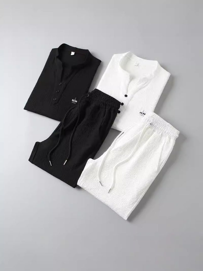 2025 New Style Thin Casual Sports suit Men's Summer Chinese Style High-end V-neck Embroidery Slim-fit Short-sleeved Two-piece Set