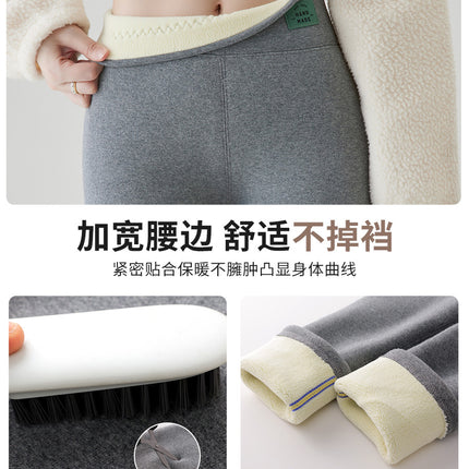 Women's Winter Fleece-Lined Thick Leggings 2025 New Warm Pants for Outdoor Wear, Northeast Fleece Pants, Spring and Autumn Wool Pants