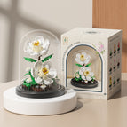 M3124 gardenia/transparent cover/color box