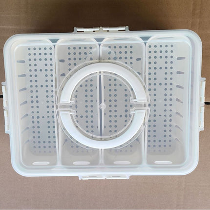Love Refrigerator Salad Fruit Preservation Box Household Spices Kitchen Storage Box Eight-compartment Sealed Spice Box