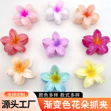 European and American Cross-Border Frosted Gradient Plumeria Hair Clip Elegant Women's Shark Clip Large Beach Hair Accessory Wholesale