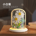 [Gift box] M1097 white chrysanthemum