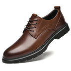 Brown / 37