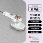 White / European regulations (not domestic plug)