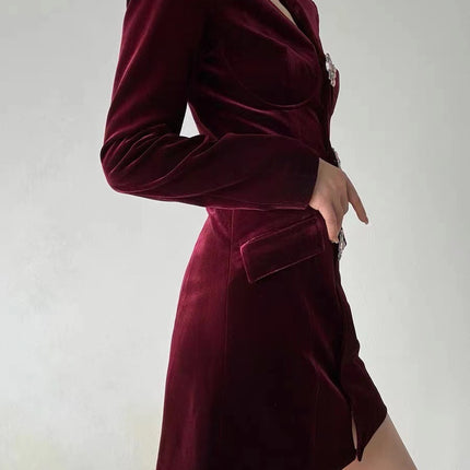 Velvet Sheath Dress / Robe Fourreau Velours