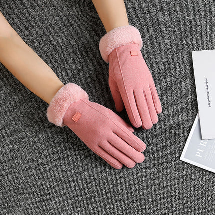 Autumn and Winter Warm Gloves Women's fleece-lined Thickened Hair Mouth Outdoor Riding Driving Sports Touch Screen Velvet Gloves Women