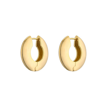 2025 New Minimalist Style Hoop Earrings, Cool and Trendy Ins Style, Unique and High-End, Versatile and Elegant Earrings