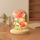 M5005-rose flower [with transparent cover + light base]