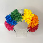 Fg169-5 color