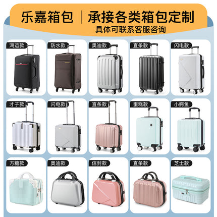Suitcase 14 inch high color value cosmetic case travel 16 inch large capacity storage case cosmetic bag mother box wholesale
