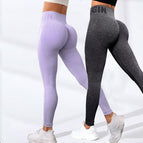 Two packs (grey + purple) / S