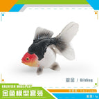 Pl127-4013 gilt 11g