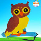 Owl / One size fits all