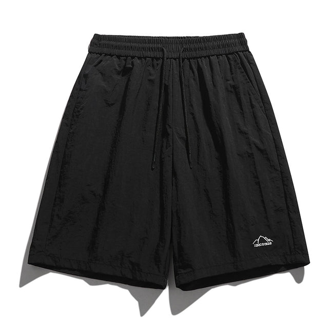 Summer Quick-drying Shorts Couples Same Style Sports Hong Kong Style Casual Pants Trendy All-match Embroidered Ice Silk Shorts for Men