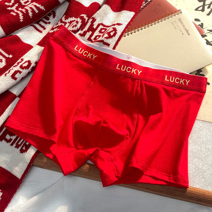 10A Antibacterial Red Men's Underwear, Men's Pure Cotton Red Boxer Briefs, Zodiac Year Men's Red Underwear Wholesale