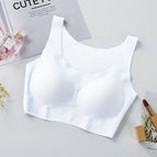 (Round neck) White / M