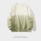 Apricot / M