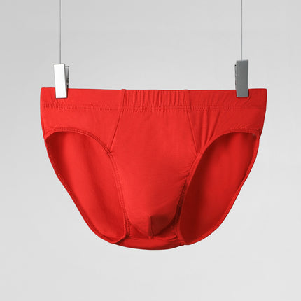 Men's Briefs Plus Size Underwear Men's Summer Thin Underpants Youth Sex Confusion Men's Comfortable Breathable Shorts