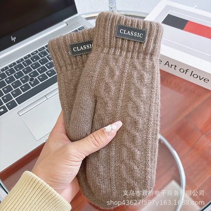 New Men's Warm Gloves Winter Cold-proof fleece-lined Thickened Double-layer Riding Wool Knitted All-inclusive Finger Wholesale