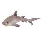 55cm / Shark