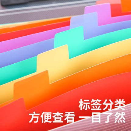 Large Capacity Organ Bag A4 Portable Organ Folder Test Paper File Storage Book Rainbow Inner Page Waterproof PP