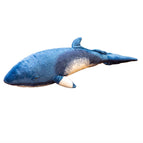 55cm / Whale