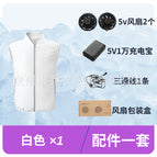 White set (5v set) does not include ice rings / S