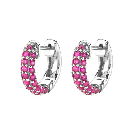 Amazon, Aliexpress, Temu, Shein, European and American Cross-Border Popular Luxury Zircon Earrings and Earrings Wholesale