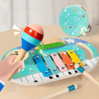 Musical instrument combination 0.81kg