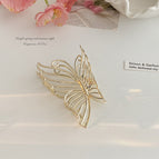 Golden hollow butterfly