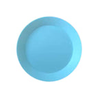 small dish blue