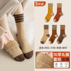 [Heat Storage Lock Temperature] 5 Double Pack Combination C / Winter padded stockings (35-40 free size)