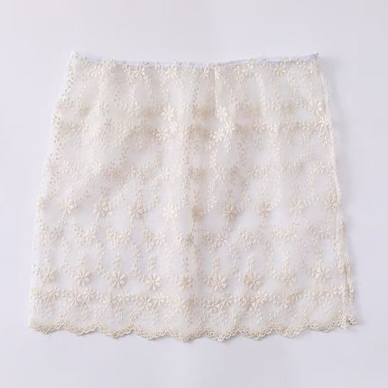 Lace Fart Curtain Skirt Advanced Sense Fart Curtain Stacked Spring Niche Design Korean Style Lace Apron Cover Skirt Sweet