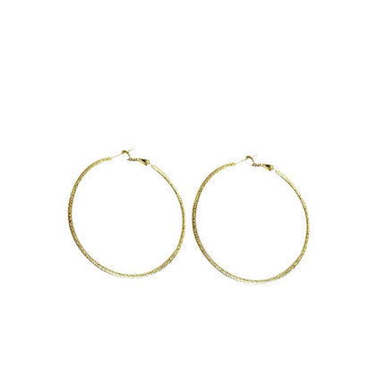 European and American Ins Large Circle Elegant Trendy Girls Frosted Earrings S925 Silver Needle Earrings Personalized Popular Hoop Earrings
