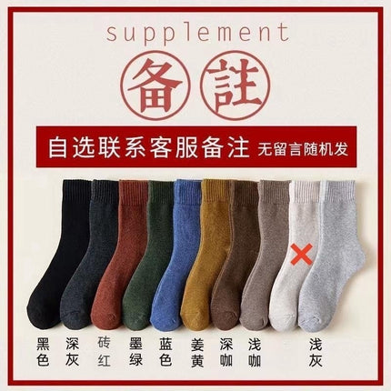 Autumn and winter fleece-lined thick socks men's terry socks deodorant warm terry socks academic style all-match ins fashionable stockings