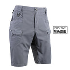 Grey IX7 Shorts / S