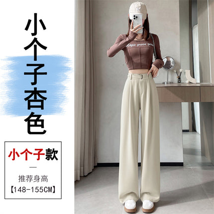 Grey high-end suit pants women's spring and autumn drape pants 2024 new small straight pants narrow wide leg pants