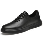 Black / 37
