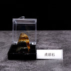 Tiger eye stone belt box 2- 2.5cm