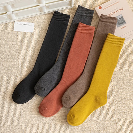 Calf Socks Women's Autumn and Winter Retro Preppy Style Extended Thickeneded Warm Heating Socks Insjk Long Terry