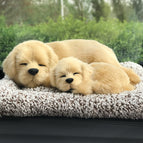 Mother and child golden retriever lying down (including 200 grams of nano mineral crystal)