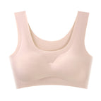 Apricot / S ( 35-45kg )